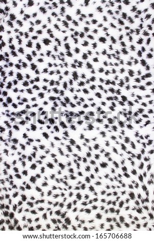 Texture of leopard or cheetah fur