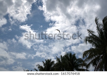 Natural View of Cloud and blue Sky