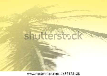 Palm leaf shadows on a white sand on tropical beach. Concept of Color of the Year 2021 with bright illuminating yellow and gray colours. Trendy holiday concept. Selective focus. Yellow toned.
