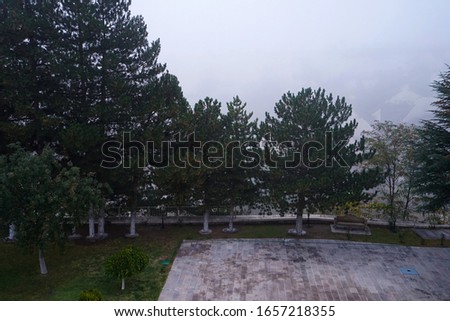 Exterior terrace architecture and decoration of green garden patio with fog and mist