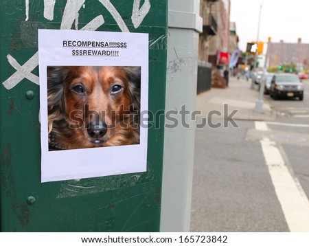 Homemade flier with color picture of brown dog offering reward taped against urban utility box alongside thoroughfare