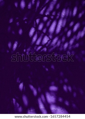 shadow of palm leaf on purple wall texture