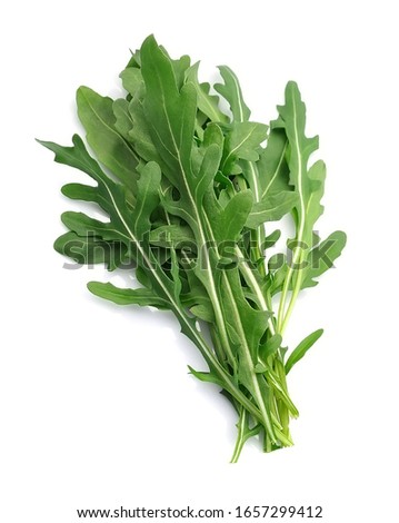 Fresh arugula salad close up. Royalty-Free Stock Photo #1657299412