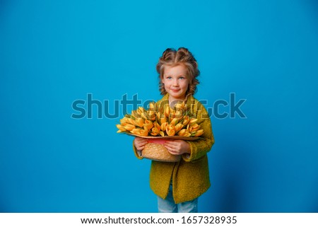 portrait of a little  girl holding a bouquet of spring flowers tulips on a colored blue background