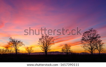Landscape with fake acacias in winter at sunset, sky with clouds and beautiful blue and orange colors. Montes de Leon in the background.