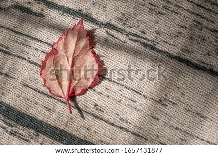 Red leaves laid on the ground, striped wooden boards.