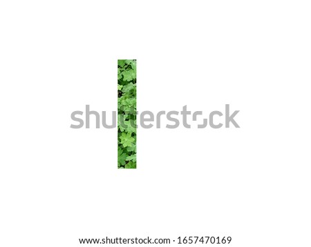 I letter of alphabet with geranium leaf isolated on a white background