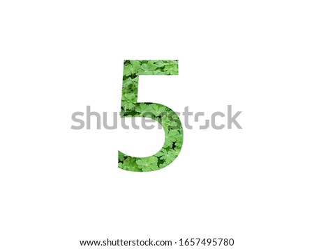 Number 5 with geranium leaf isolated on a white background