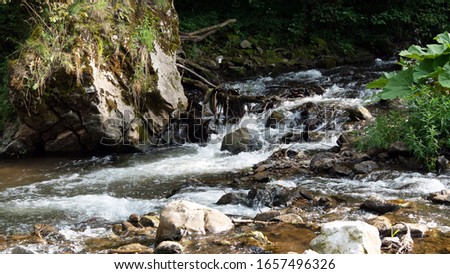 Wild mountain creek in western Bulgaria