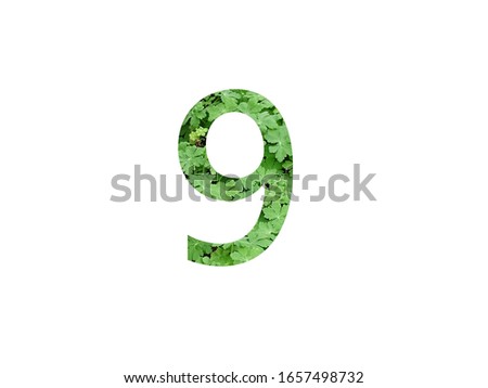 Number 9 with geranium leaf isolated on a white background