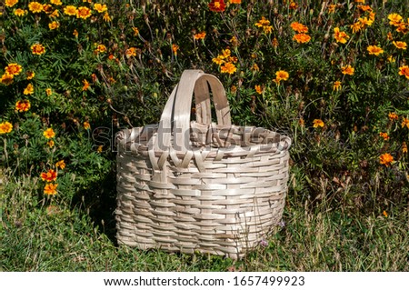 Wicker rustic basket on green grass flowered garden background