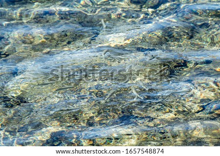 Clear sea water, with defocused ripples, background texture of water.