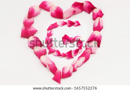 Love Shape Rose petal letter G Background image on white background. Letter G into Love shape
