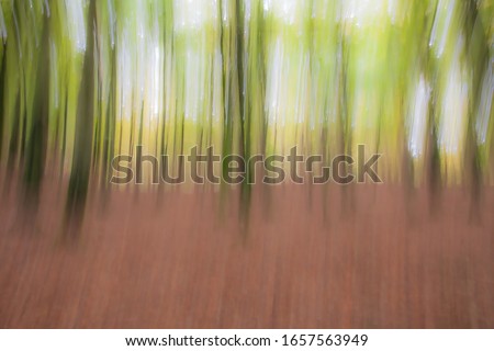 Abstract photo, forest in autumn photographed with different effects of motion and zoom. Colorful textured background. long shutter speed.