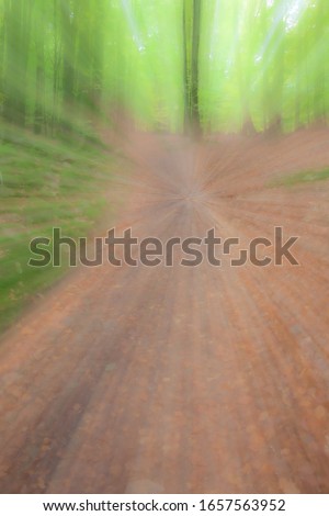 Abstract photo, forest road in summar photographed with different effects of motion and zoom. Colorful textured background. long shutter speed.