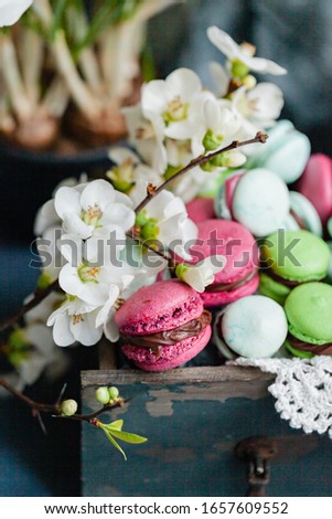 Beautiful Easter composition with bright delicious homemade traditional french dessert - elegant macarons. Floral decor, spring flowers on background, vintage wooden box. Front view, close up.
