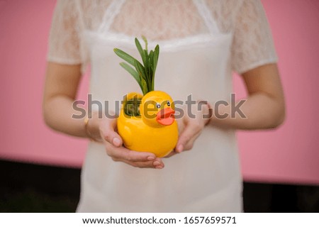 Woman holding a flower pot in the shape of duck with the yellow narcissus with green leaves in the background of the pink wall
