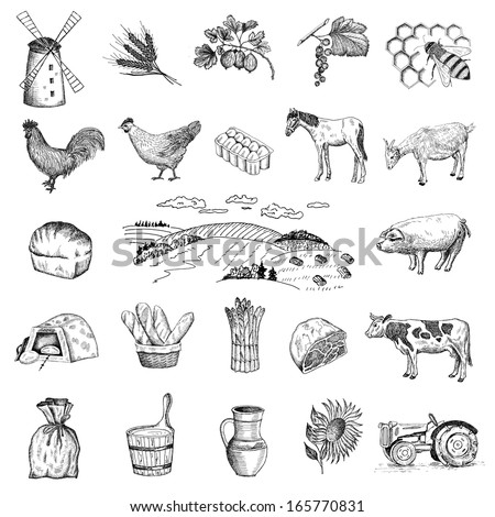 rural economy. set of vector sketches Royalty-Free Stock Photo #165770831