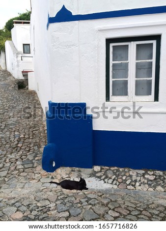 Black cat in a traditional portuguese white and blue house