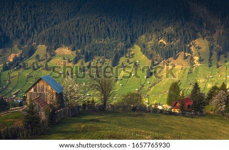 Panoramic rural view of Bucovina county