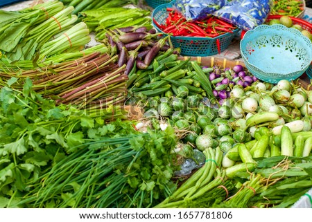 Garden vegetables in the morning market