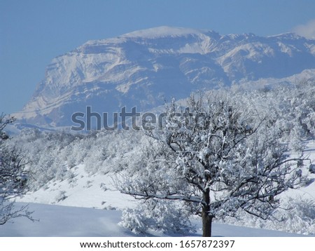 Nature in the winter. Beautiful winter landscape, snowy mountains.