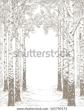 Birch wood, hand drawn illustration in vintage style with free space for your text.