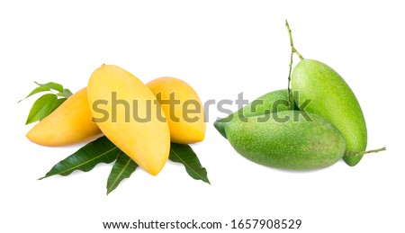 Yellow mango and green mango isolated on a white background Royalty-Free Stock Photo #1657908529