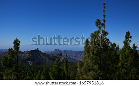 Mountain landscape, pine forest and intense blue sky, natural park of Roque Nublo, summit of Gran Canaria, Canary Islands