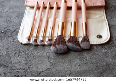 Seven basic pink brushes for eye, eyebrow and face makeup. Brushes with organizer on a gray concrete background.
A palette of ten shades of cream pigmented shadows