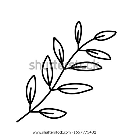 Leaf for coloring. One line isolated on white background, hand drawing, doodle. Herbs, botanical elements. Used for greeting cards and invitations.
