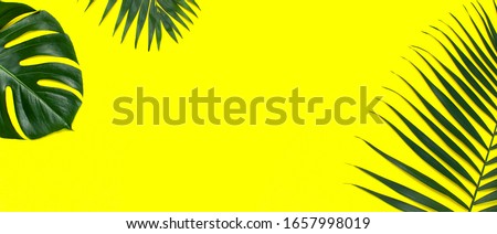 Tropical palm leaves and monstera leaf on pastel yellow background. Flat lay, top view, copy space. Summer background, nature. Creative minimal background with tropical leaves. Leaf pattern