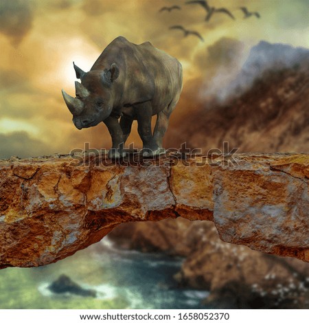 Rhinoceros is standing on a rock