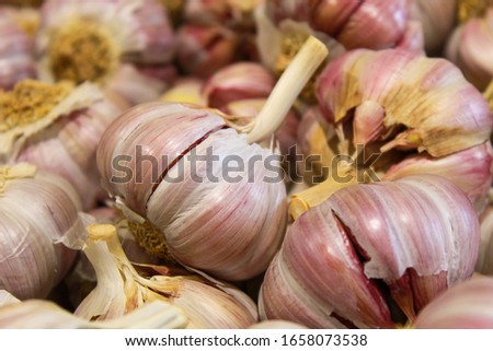 image of organic garlic heads good for the heart and with anesthetic effect