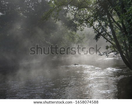 Magical morning with fog and sunshine at Säveån, a river just outside Gothenburg. View of a beautiful landscape, with trees, water, morning light and mist. Natural background with copy space.