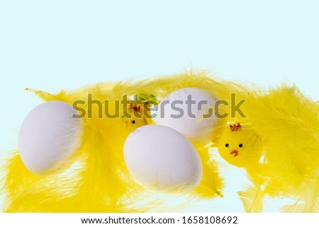 Close up view of white eggs and yellow feathers and chick figures isolated on blue  background. Easter concept
