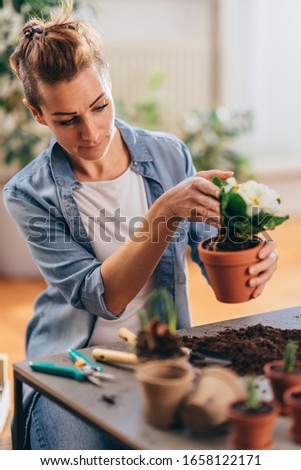 Woman Planting potted plants, white primroses