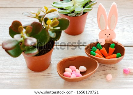 easter decorations. toy bunny and chocolate egg with carrot decor. succulent spring flowers. festive kids design for easter.