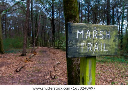 Close view of green and stained wooden sign, with white lettering; for a hiking trail in the woods of North Georgia. 