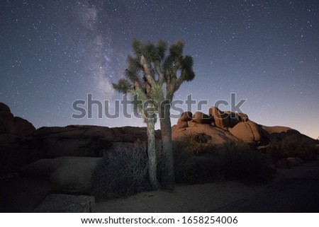 Joshua Tree National Park in Arizona
