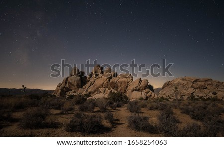 Joshua Tree National Park in Arizona