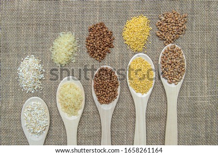 Composition of wooden spoons on which grains and cereals are located. Wheat, rice, buckwheat, millet, oats.