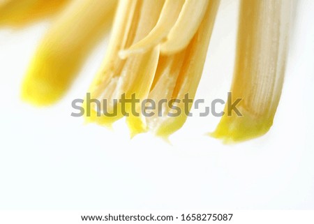Close-up of isolated banana flowers on a white background