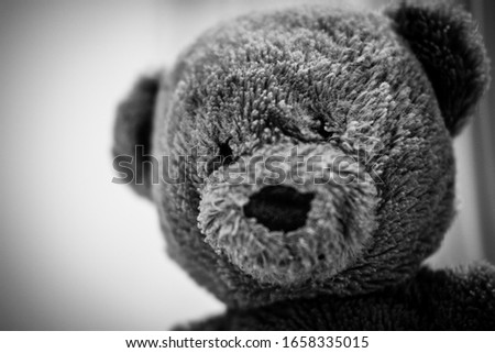 close-up face teddy bear. black-white tone and vignetting.