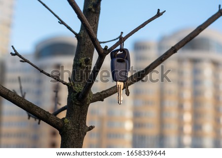 Lost car keys hang high on the branches of a tree.  A caring passerby helps in finding the owner of the keys.  In the background the houses and the blue sky Royalty-Free Stock Photo #1658339644