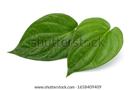 Green betel leaf isolated on the white background Royalty-Free Stock Photo #1658409409