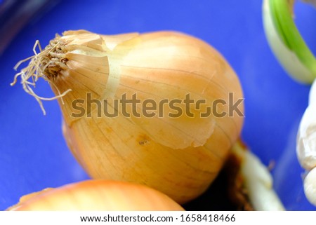 A sprouted onion lies on a plate