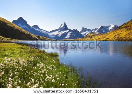 Sunset view on Bernese range above Bachalpsee lake. Peaks Eiger, Jungfrau and Faulhorn in famous location. Switzerland alps, Grindelwald valley