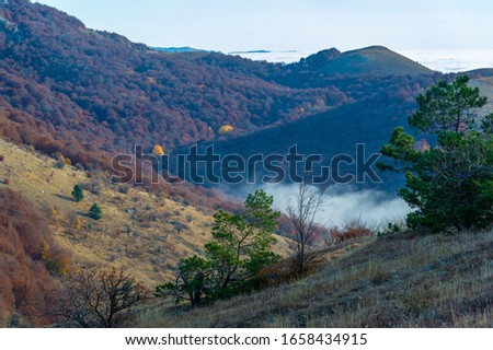 Autumn photos of the Crimean peninsula. High in the mountains above the clouds. Beech, pine, hornbeam, forest in the Demerdji mountains