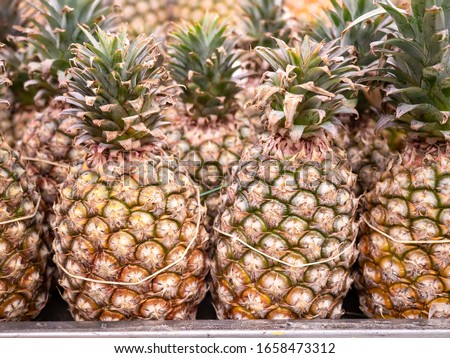Organic pineapple fruit in Taiwan